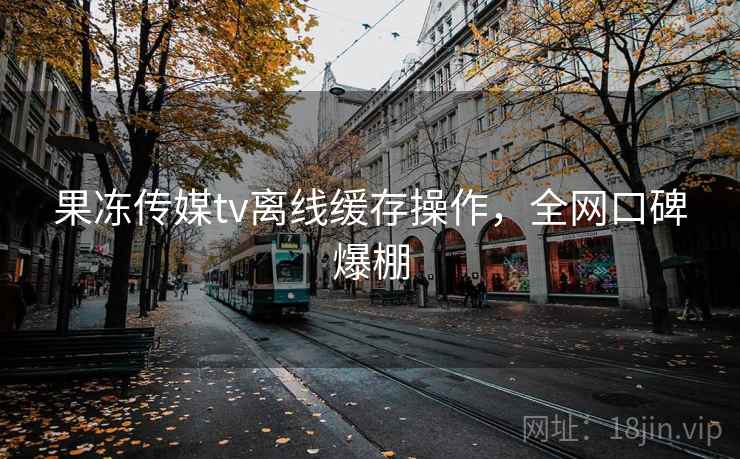果冻传媒tv离线缓存操作，全网口碑爆棚