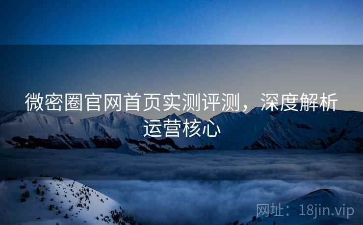 微密圈官网首页实测评测，深度解析运营核心